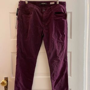 Mavi Alexa Jeans in Wine Cord